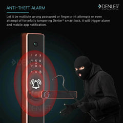 Denler DL04H Fingerprint Lock, Smart Lock Digital Door Lock Wi-Fi Remote Unlock Using App, RFID Card, PIN, Keys Rose Gold - Denler