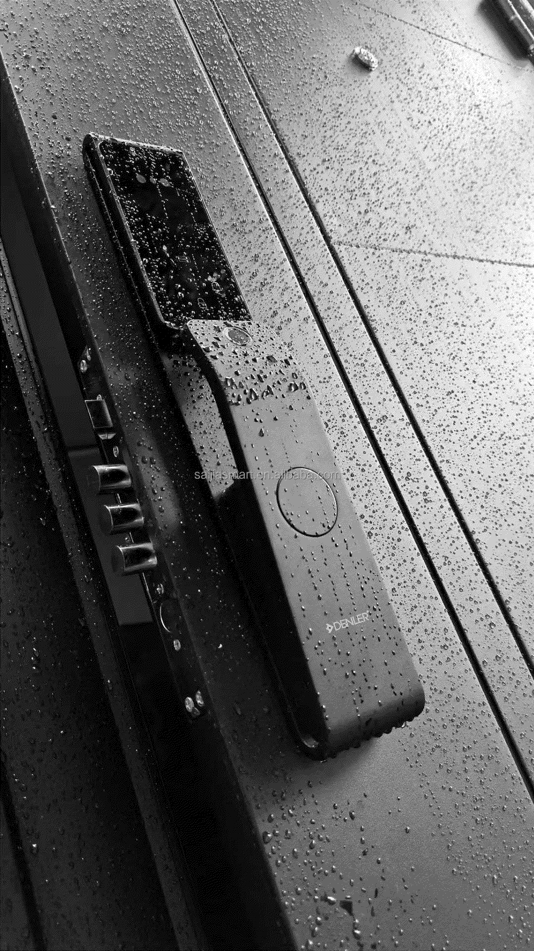 Denler FLv8 8-in-1 Smart Door Lock | Doorbell Lock | Alexa Voice Unlock | 3D Face ID | RF Remote | Fingerprint | IP65 Waterproof | Anytime Video Intercom | Wi-Fi App | Card | PIN | Key - Denler